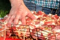 Man prepares the fresh meat with onion for the barbecue grill Royalty Free Stock Photo