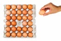 Man`s hand picking up one fresh egg from paper tray Royalty Free Stock Photo