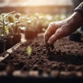 Man\'s hand planting seedlings in a greenhouse