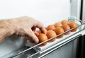 Man`s hand pulling a chicken egg out of the fridge. Eggs in the refrigerator on the shelf, Brown eggs in the tray. Organic Chicken
