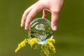 A man`s hand reaches for a glass globe with a mirrored lake, trees and sky against a green background Royalty Free Stock Photo