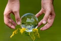 A man`s hand reaches for a glass globe with a mirrored lake, trees and sky against a green background Royalty Free Stock Photo