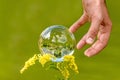 A man`s hand reaches for a glass globe with a mirrored lake, trees and sky against a green background Royalty Free Stock Photo