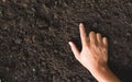 The man`s hand touches the loamy soil with proper technology for cultivating the soil containing the nutrients. Royalty Free Stock Photo