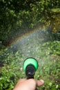 Man's hand watering blooming strawberry Royalty Free Stock Photo