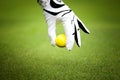 Man`s hand in a white glove putting a golf ball in a golf course Royalty Free Stock Photo