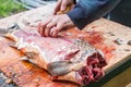 Man`s hands filleting raw fish. Royalty Free Stock Photo