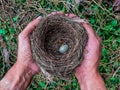 Man`s hands hold and protect a perfect blackbird bird nest with a blue egg