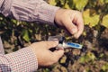 Man?s hands measure with refractometer in a vineyard.