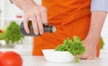 Mature man`s hands pouring olive oil over fresh salad in the kitchen. Royalty Free Stock Photo