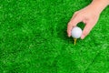 The man`s hands are putting the golf ball on the tee. in the green lawn. To prepare for the start of golf game