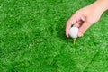 The man`s hands are putting the golf ball on the tee. in the green lawn. To prepare for the start of golf game