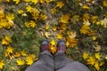 Man`s legs in boots and gray jeans standing on ground with gold autumn leaves, top view. Royalty Free Stock Photo