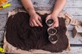 Man`s potting fibre pots with plant beans.