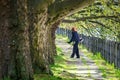 Man in safety helmet trims overgrown lawn round trees by grass cutter