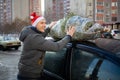 A man in Santa Claus hat tying a Christmas tree to the roof of the car to bring it home Royalty Free Stock Photo