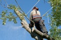 Man sawing through branch Royalty Free Stock Photo