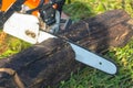 Man is sawing a chain saw Royalty Free Stock Photo
