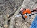 A man sawing a cherry tree trunk on the ground. Male hands hold a chainsaw, the tree trunk is cut into logs, and sawdust around,