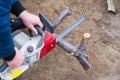 A man is sawing a fallen tree with an electric chain saw Royalty Free Stock Photo