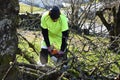 A man is sawing a garden tree with an electric chainsaw.