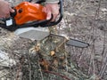 A man is sawing a log on the ground with a chainsaw