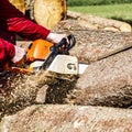 Man sawing a log in his back yard