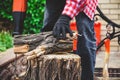 Man sawing piece of wood on stump power saw