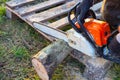 A man is sawing a thick log with a chainsaw. Preparation of firewood for the winter. Heating in a country house Royalty Free Stock Photo