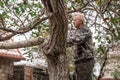 man is sawing a tree with a chainsaw. Cutting dry branches, pruning trees Royalty Free Stock Photo