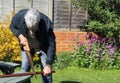 Man sawing wood. Royalty Free Stock Photo