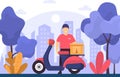 Man Scooter Motorcycle Express Delivery Service Food Shipping Illustration Royalty Free Stock Photo