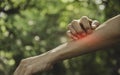 Man scratch itch with hand. Man scratching his hand healthcare concept Royalty Free Stock Photo