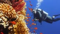 Man scuba diver admiring beautiful colorful coral reef Royalty Free Stock Photo