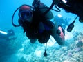 Man scuba diver and beautiful colorful coral reef underwater Royalty Free Stock Photo