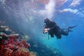 Man scuba diver descending from the sea surface to the colorful tropical coral reef Royalty Free Stock Photo