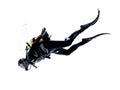 Man scuba diver diving silhouette isolated