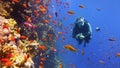 Man scuba diver near beautiful colorful coral reef