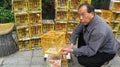 Man Selling Birds at Hong Kong Bird Market