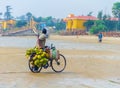 Man Selling Coconut Water On Cycle