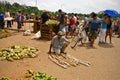 Man selling garlic, corn an bananas in Cuba Royalty Free Stock Photo