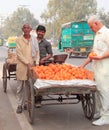 Man sells oranges on the market in Delhi, India Royalty Free Stock Photo