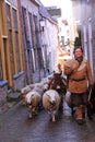 Man and sheep in the street Royalty Free Stock Photo