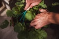 A man in a shirt rakes the earth in a pot where lettuce grows at home on the balcony. He rests after a hard day`s work