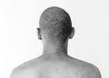 Man shirtless rear view studio portrait Royalty Free Stock Photo