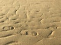 man shoes footprint traces with many natural sand patterns on sand beach Royalty Free Stock Photo