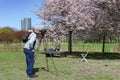 Man shoots a video with professional camera on tripod cherry blossoms in Victory Park Royalty Free Stock Photo