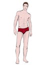 Man in shorts standing front side full-length, vector cartoon male portrait, multicolored painted muscular athlete in red underwea Royalty Free Stock Photo