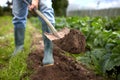 Man with shovel digging garden bed or farm