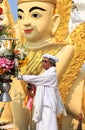 A man at shwedagon pagoda in Yangoon Royalty Free Stock Photo